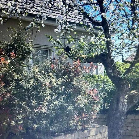 Am Alten Apfelbaum *