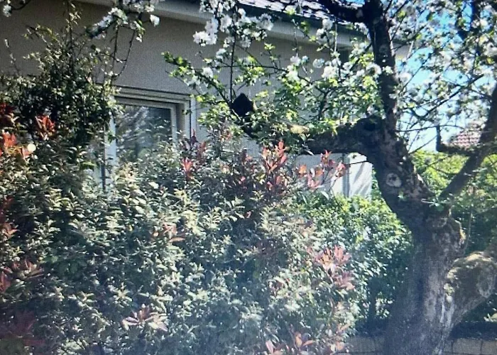 Am Alten Apfelbaum *